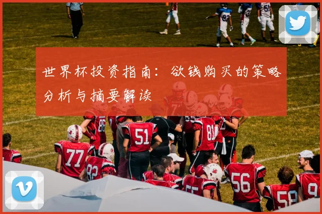 世界杯投资指南：欲钱购买的策略分析与摘要解读