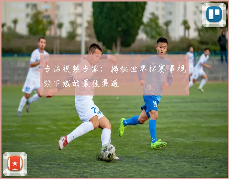 专访视频专家：揭秘世界杯赛事视频下载的最佳渠道