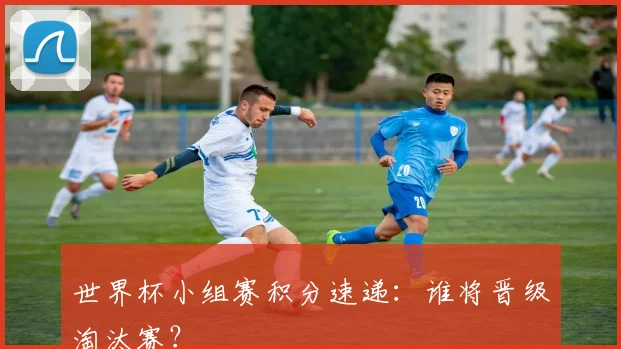 世界杯小组赛积分速递:谁将晋级淘汰赛?